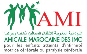 Logo AMI 2014